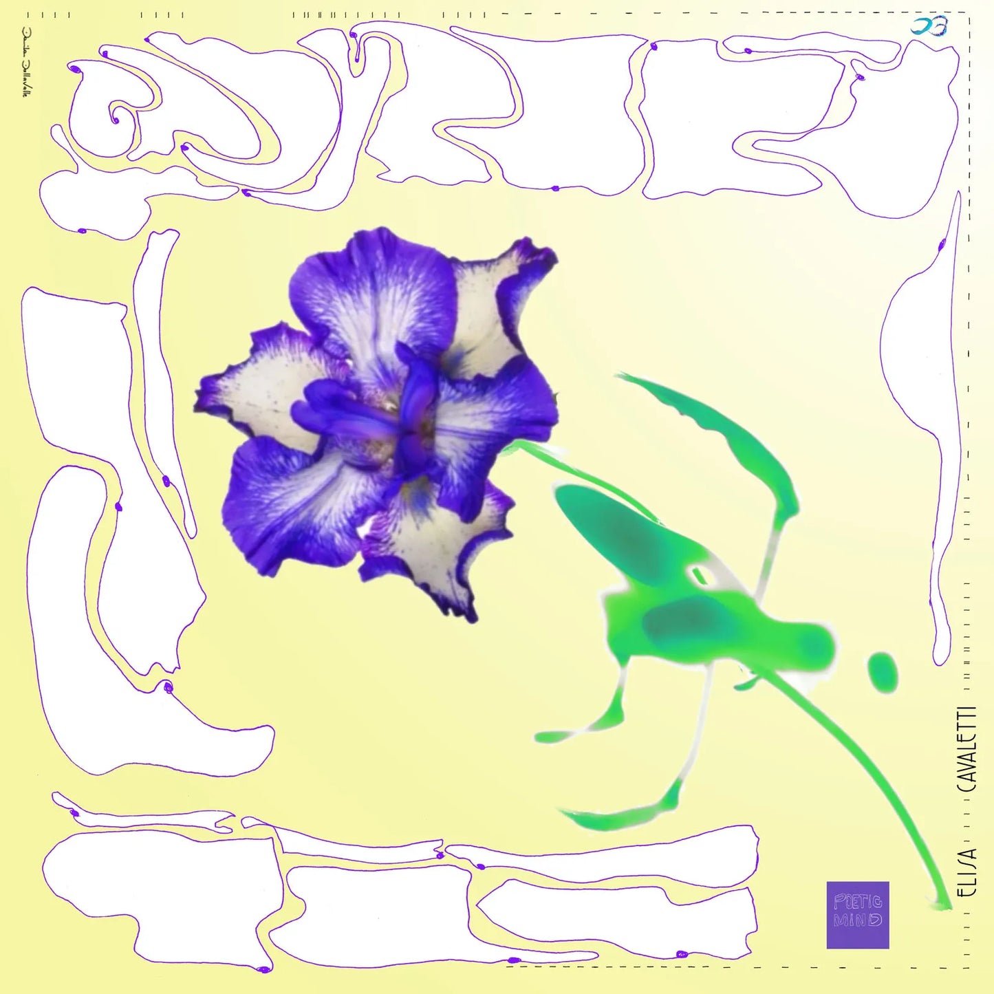 Elisa Cavaletti Floral Silk Scarf